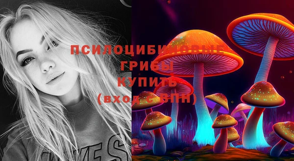 дживик Аркадак