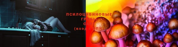 соль ск Арсеньев