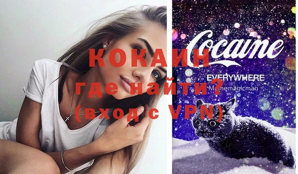 индика Армянск