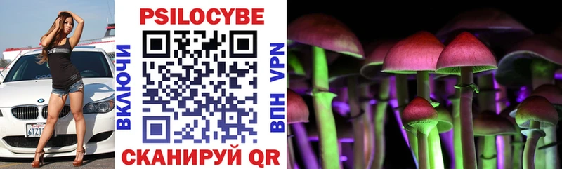 Галлюциногенные грибы Cubensis  Гурьевск 