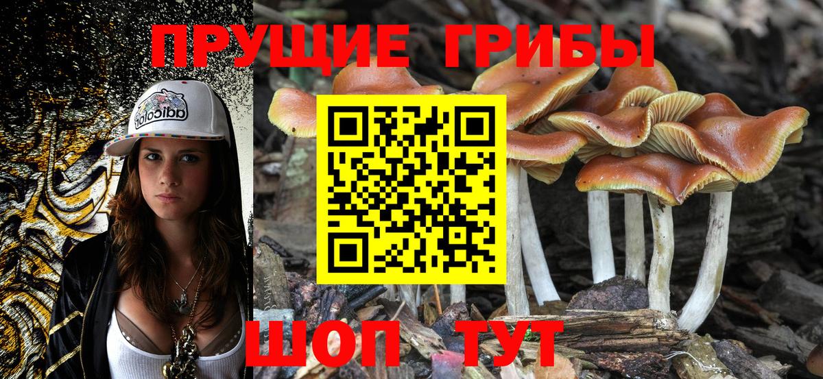 Галлюциногенные грибы ЛСД Гурьевск