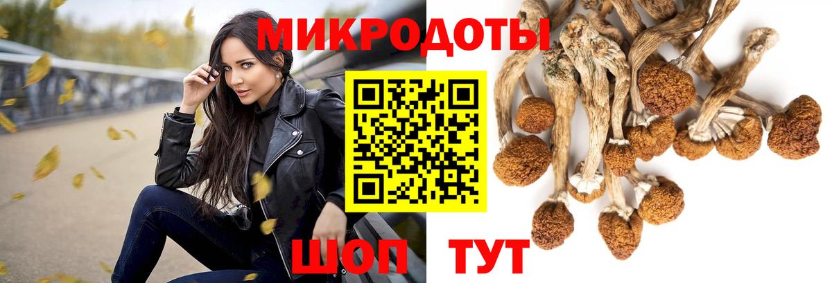 Псилоцибиновые грибы мухоморы  Вход с VPN  Гурьевск 